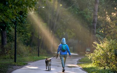 Enjoying the Great Outdoors: Fun and Safe Activities for Pets