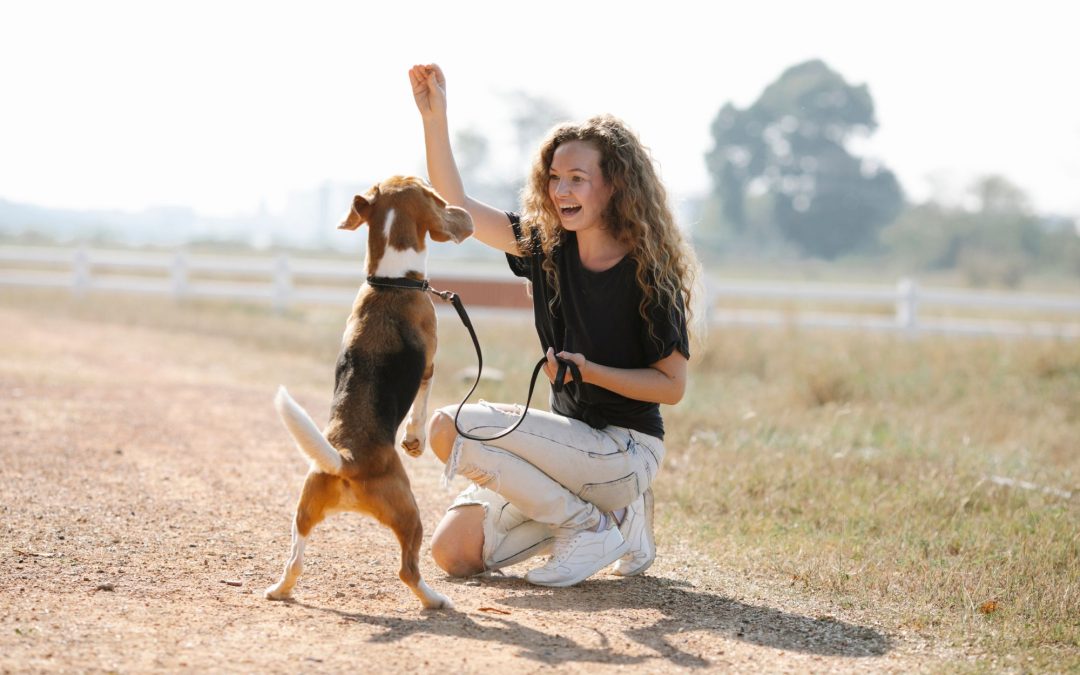 Essential Training Tips for Fostering Well-Behaved Pets