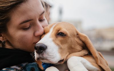 Living with Pets and Allergies: Finding a Balanced Solution